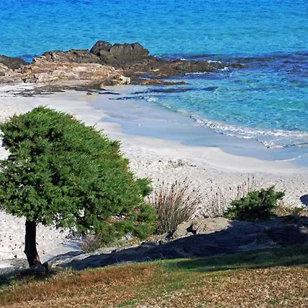 Apartment Casa Paola Cala Lupo Stintino